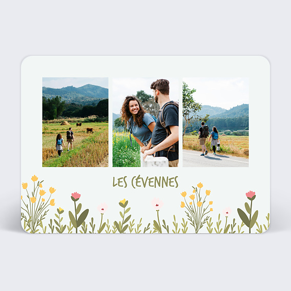 Carte postale Herbes du Printemps