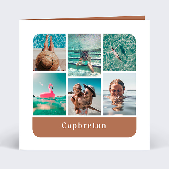 Carte Postale P�le-M�le Camargue