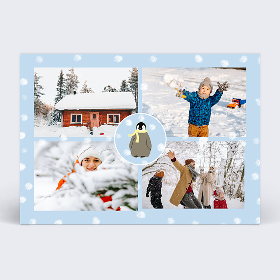 Carte postale Pingouin Enneigé