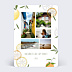 Carte Postale Agrumes