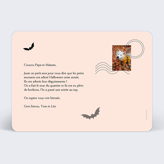 Carte postale Chauve-souris Verso