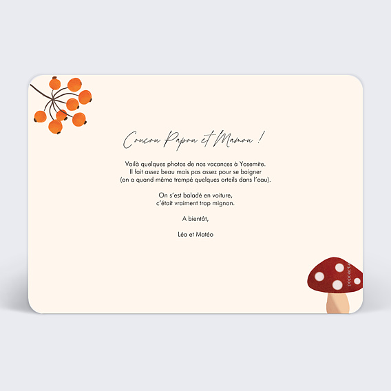 Carte postale Feuilles Et Champignons Verso