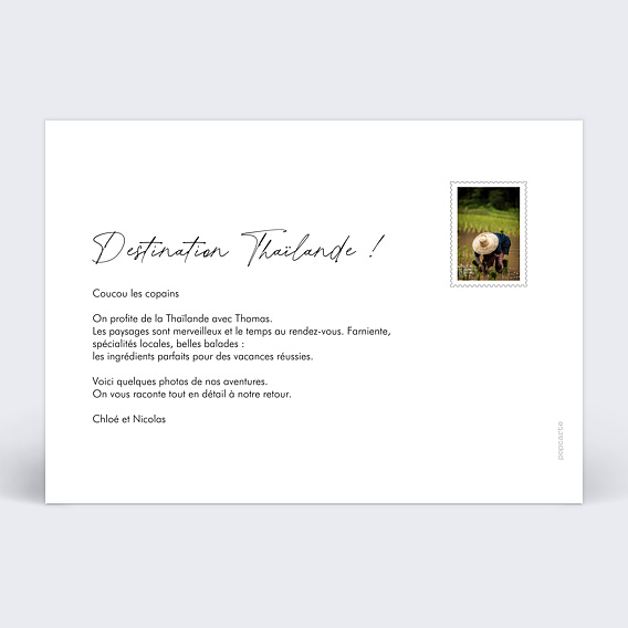 Carte postale Jungle Verso