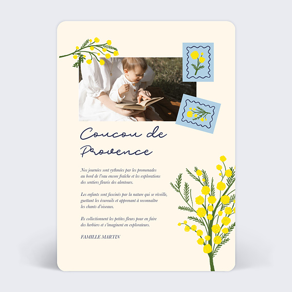 Carte postale Mimosa du Sud Verso