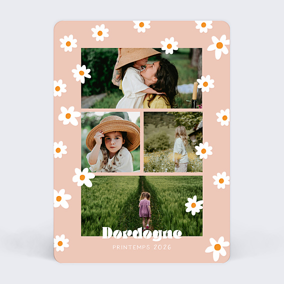 Carte Postale White Flowers