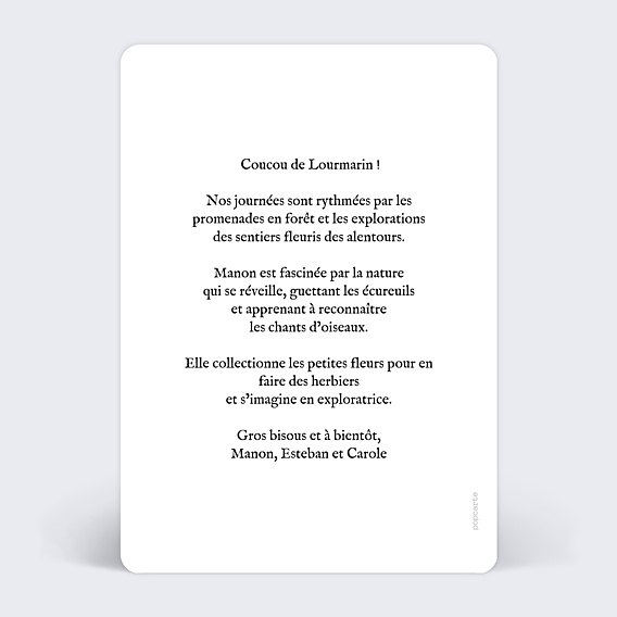 Carte Postale Décor Végétal