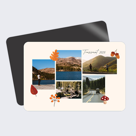 Carte postale Feuilles Et Champignons