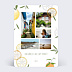 Carte postale Agrumes