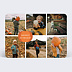 Carte postale Citrouille centrale