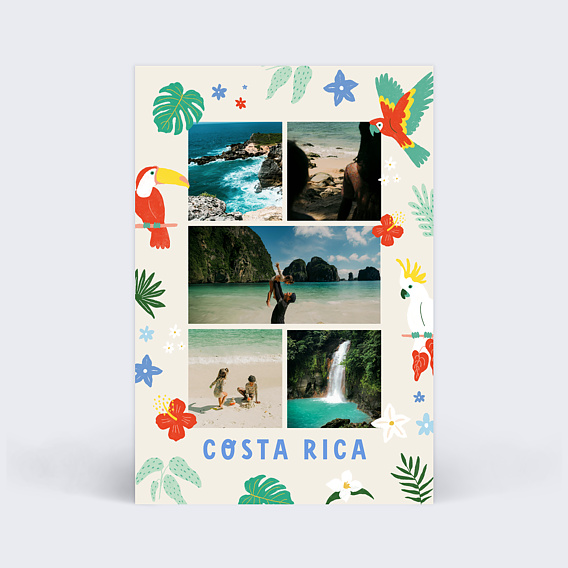 Carte postale Animaux de la Jungle