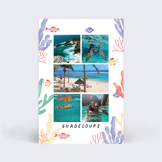 Carte postale Aquatique