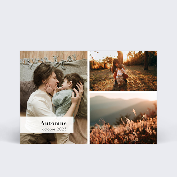 Carte postale Bandeau Graphique Automne