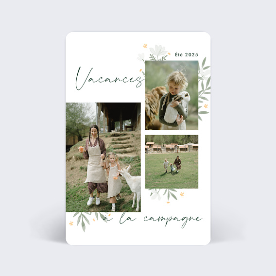 Carte postale Campagne Fleurie