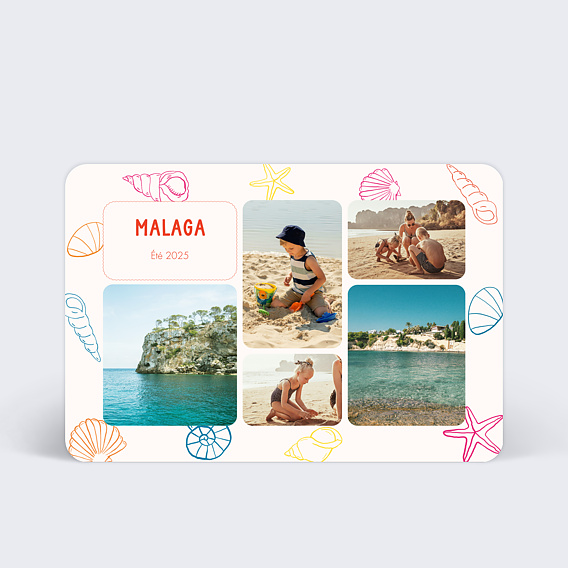 Carte postale Coquillages Colorés