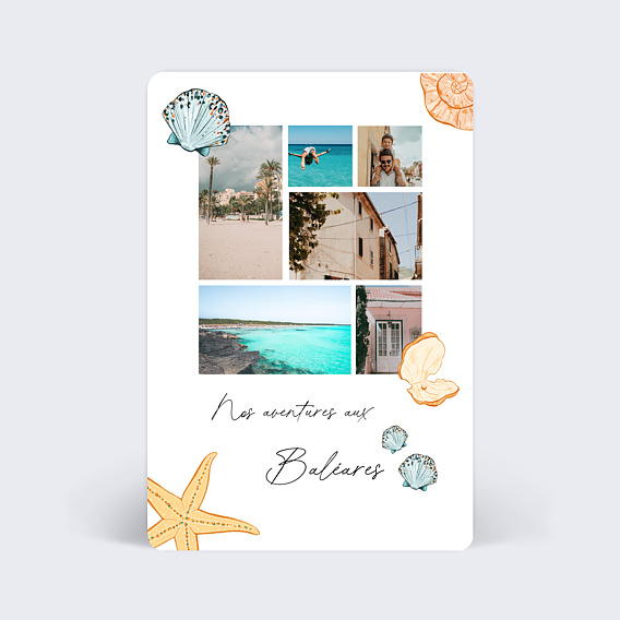 Carte postale Coquillages Nacrés