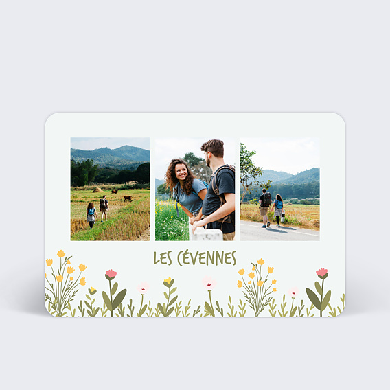 Carte postale Herbes du Printemps