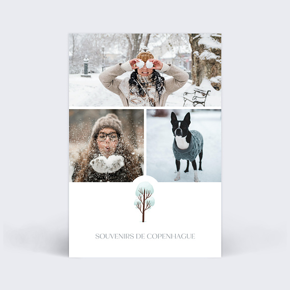 Carte postale Hiver entre amis