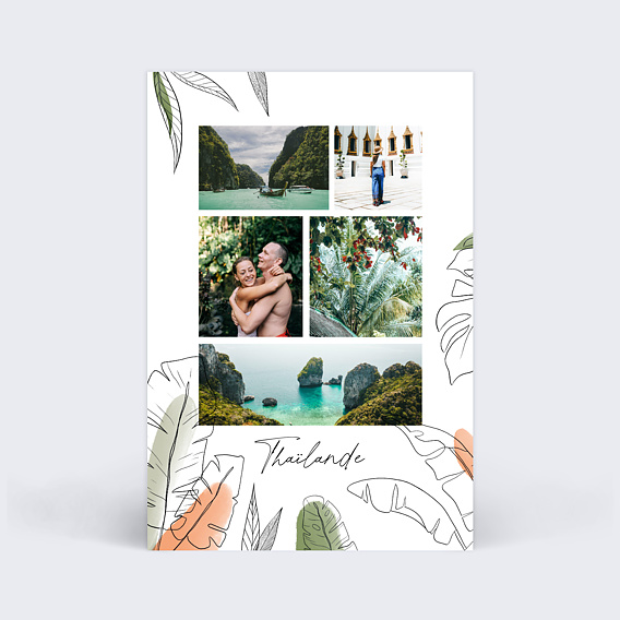 Carte postale Jungle