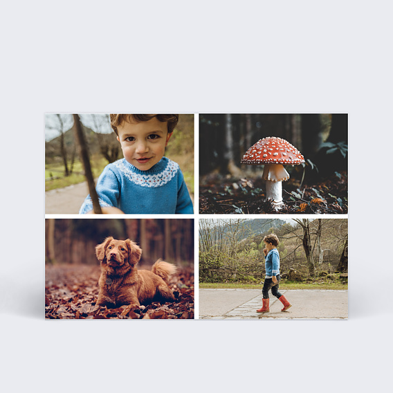 Carte postale Multiphotos 4 Photos Automne