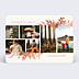Carte Postale Bandeau automnal
