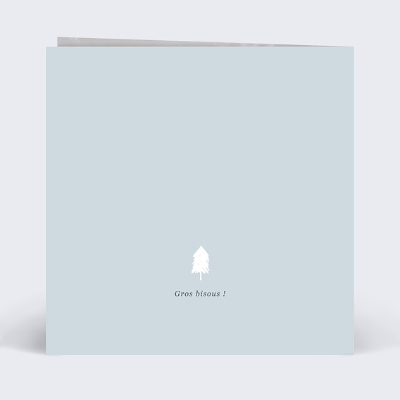 Carte postale Petit Traineau Verso