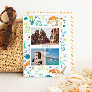 Carte Postale Tortues - Wings of the Ocean x Nathalie Ouederni x Popcarte