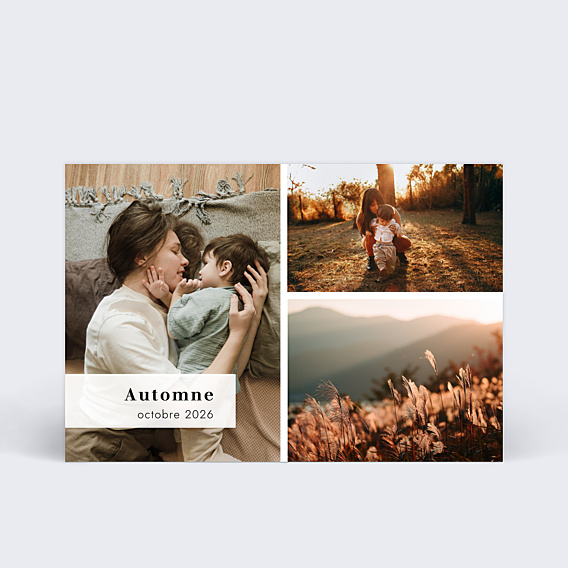 Carte Postale Bandeau Graphique Automne
