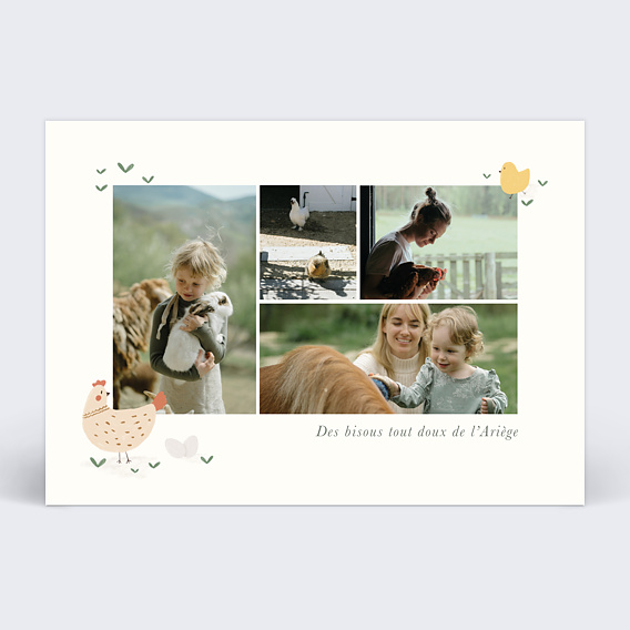 Carte Postale Animaux Campagne