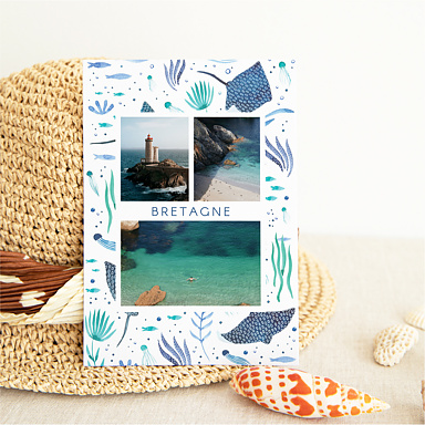 Carte Postale Algues - Wings of the Ocean x Nathalie Ouederni x Popcarte