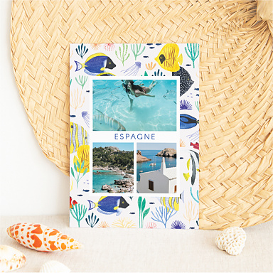 Carte Postale Poissons colorés - Wings of the Ocean x Nathalie Ouederni x Popcarte