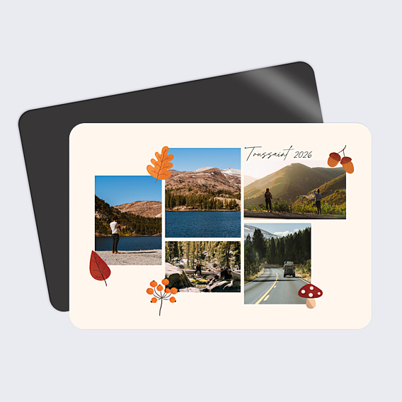 Carte Postale Feuilles Et Champignons