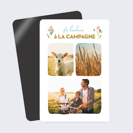 Carte Postale Campagne