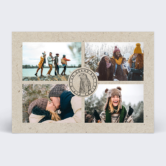 Carte postale Marmotte