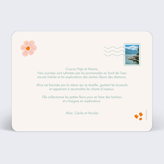 Carte Postale Parterre de Fleurs