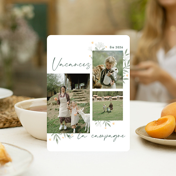 Carte Postale Campagne Fleurie