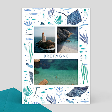 Carte Postale Algues - Wings of the Ocean x Nathalie Ouederni x Popcarte