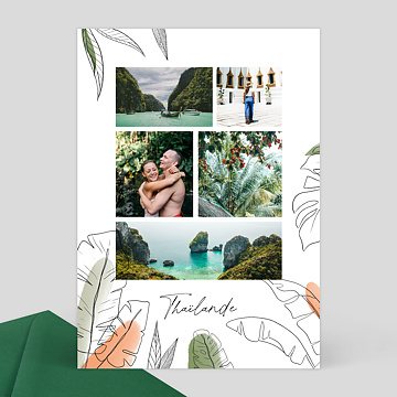 Carte Postale Jungle