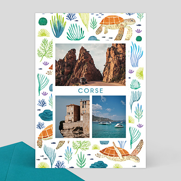 Carte Postale Tortues - Wings of the Ocean x Nathalie Ouederni x Popcarte