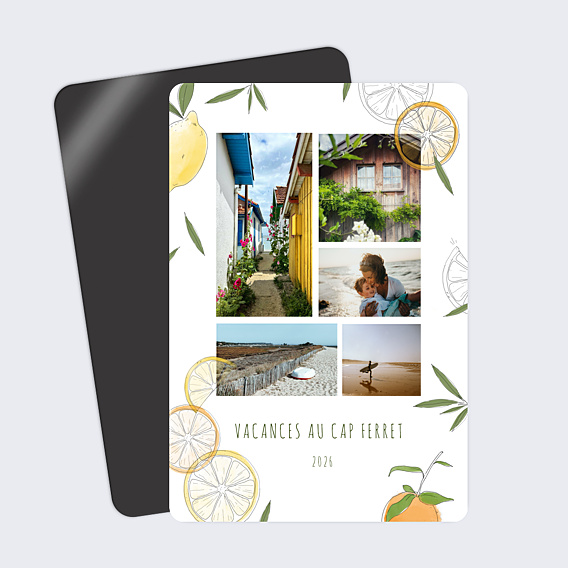 Carte Postale Agrumes