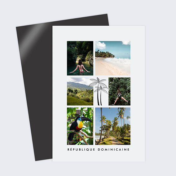 Carte Postale Sous les Palmiers