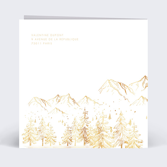 Carte Postale Paysage d'Hiver