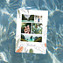 Carte postale Jungle