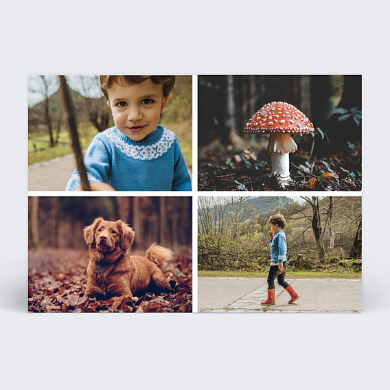 Carte Postale Multiphotos 4 Photos Automne