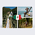 Carte Postale Drapeau Mexique