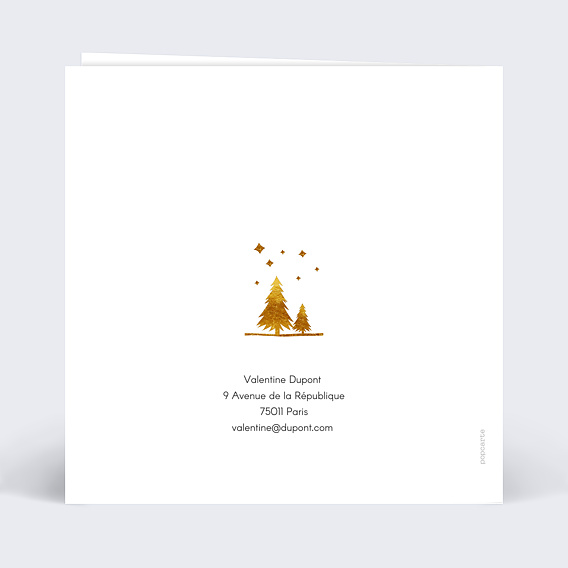 Carte postale Hiver Cadre Photo Sapins Verso