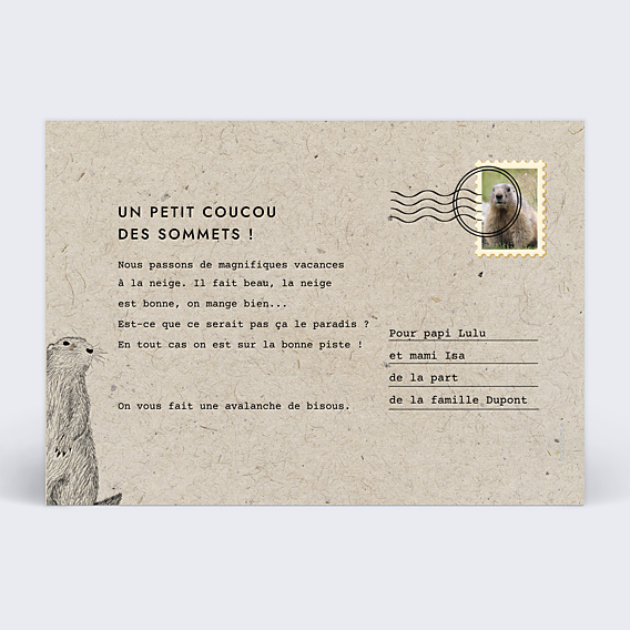 Carte Postale Marmotte