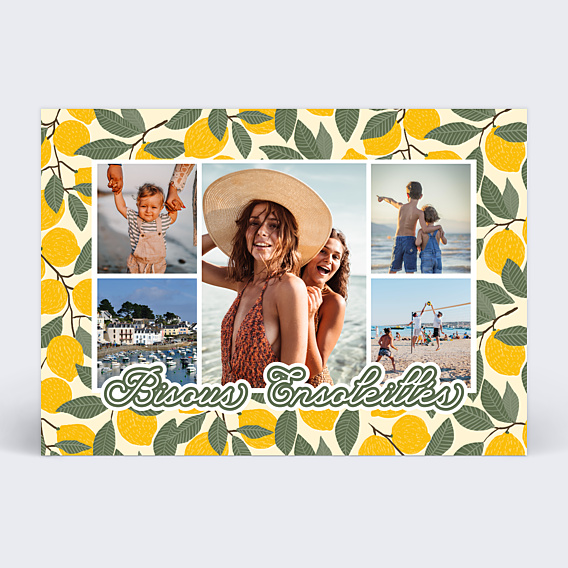Carte postale Jolis Citrons
