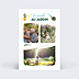 Carte Postale Jardin