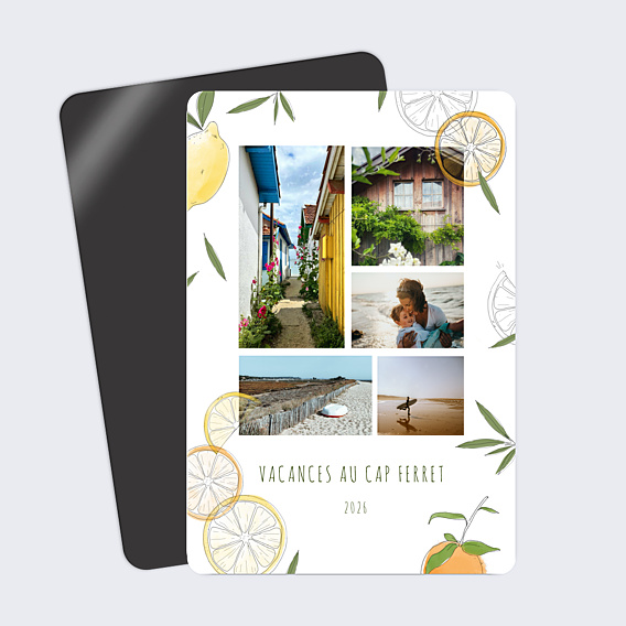 Carte Postale Agrumes