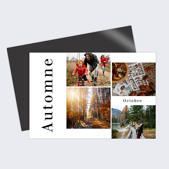Carte Postale Verticale Automne